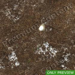 PBR Substance Material of Ground Forest Snowy